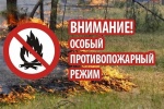 С 20 апреля 2021 года по 15 июня 2021 года на территории Красноармейского муниципального района введен особый противопожарный режим на землях лесного фонда 