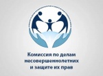Комиссия по делам несовершеннолетних и защите их прав при администрации Красноармейского муниципального района 28 ноября 2018 года провела очередное, двадцать третье, заседание