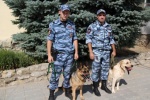 Кинологи со служебными собаками из Красноармейска взяли 1-е место в областных соревнованиях