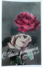 В рамках рубрики «Открываем фонды», предлагаем Вашему вниманию коллекцию почтовых карточек (открыток) 1940-1960 г