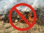 О недопущении нарушений порядка выжигания сухой травянистой растительности и сжигания мусора