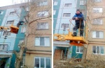 Управляющая компания ООО "Коммунальщик" провела опиловку деревьев