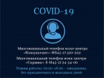 В Саратовской области продолжают работу 2 колл-центра «Консультант» и «Справка»
