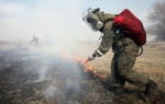 О мерах пожарной безопасности при проведении выжиганий сухой травянистой растительности