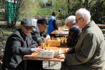 В Парке культуры и отдыха прошел турнир по шахматам 