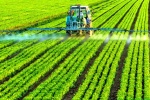 Что необходимо знать сельхозтоваропроизводителю при работе с пестицидами