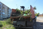 Управляющие организации города Красноармейска ликвидировали несанкционированную свалку