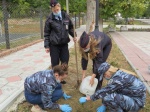 В Красноармейском районе сотрудники полиции и члены отряда «Юный друг полиции» приняли участие в экологически-патриотической акции «Лес Победы»
