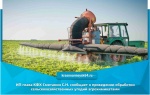 ИП глава КФХ Сметанин С.Н. сообщает о проведении обработки сельскохозяйственных угодий агрохимикатами