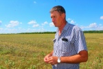 В хозяйствах Красноармейского муниципального района полным ходом идет уборка зерновых культур