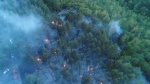 Вчера, приблизительно в обед, поступило сообщение о возгорании в лесу в окрестностях села Белогорское