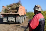 Работники МУП "Комбинат благоустройства" продолжают вывозить мусор с территорий обоих кладбищ