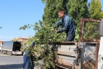 В районе Бурения рабочие МУП "Комбинат благоустройства" провели работы по обрезке кустарников, мешающих проходу жителей
