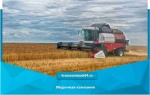 Сельхозпроизводители Красноармейского муниципального района приступили к уборочной кампани
