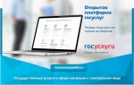 Государственные услуги в сфере миграции в электронном виде