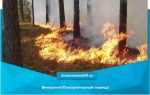 Внимание! Пожароопасный период!